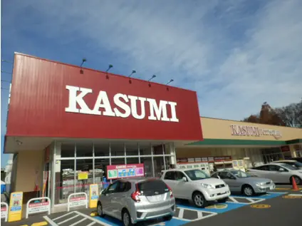 レオパレスグランデームケイ(1K/1階)の周辺写真