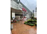 市川市鬼高2丁目PJ