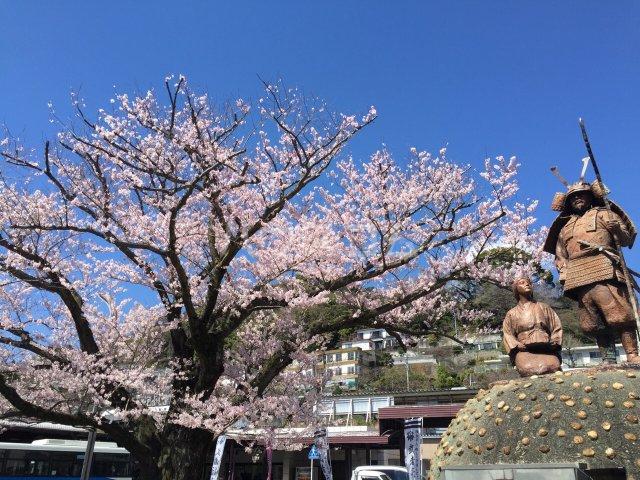セレーノ中央(2LDK/3階)の周辺写真