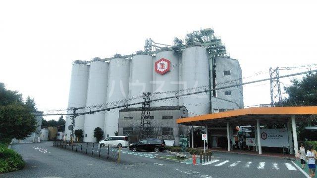 東武鉄道野田線 愛宕駅(千葉) 徒歩13分 2階建 築1年