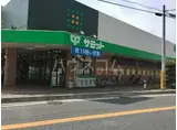 レオネクスト新座ブルー