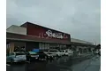 サンシティイズミⅡ
