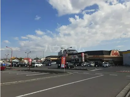 秩父鉄道本線 東行田駅 徒歩10分 2階建 築13年(ワンルーム/2階)の周辺写真