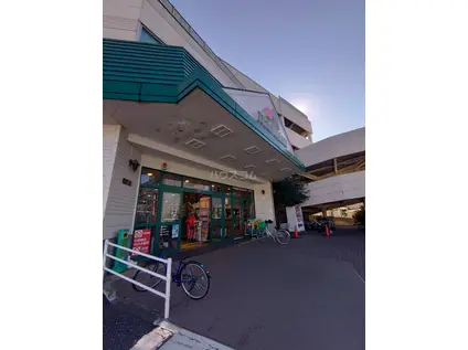 東武鉄道野田線 七里駅 徒歩11分 3階建 築28年(3LDK)の周辺写真