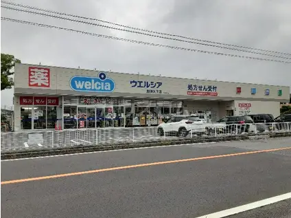 レオネクストリントアール(1K/1階)の周辺写真