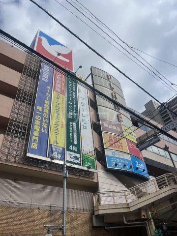 R FIELDS MATSUDOⅤ