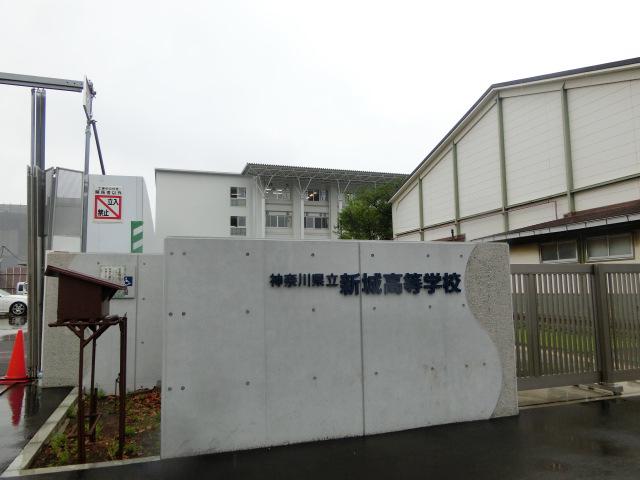 レイグランデ