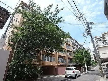 ラムール住吉(1LDK/6階)の外観写真