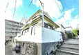 兵庫県芦屋市三条町 10-4の戸建賃貸