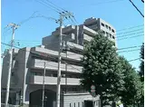 パーク・ハイム神戸熊内町