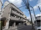 サウザー岡本