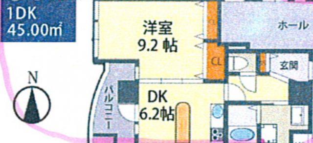 GRAZIO日本(1DK/10階)の間取り写真
