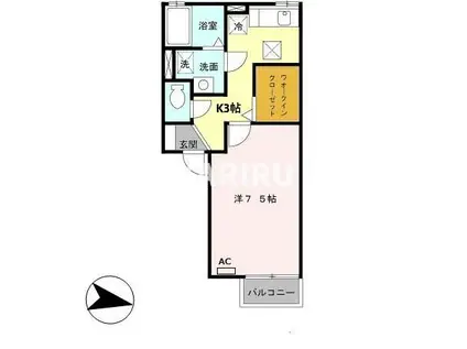 白樺ハイツ(1K/1階)の間取り写真