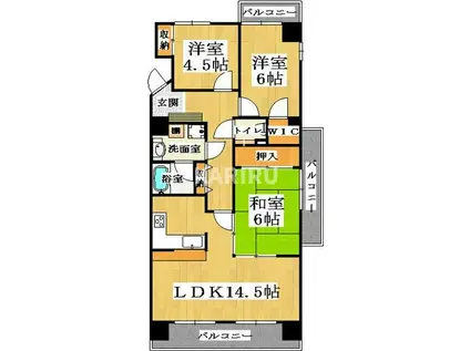 パードレ関目(3LDK/8階)の間取り写真