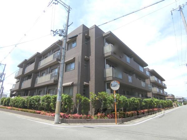 コート若園(3LDK/3階)