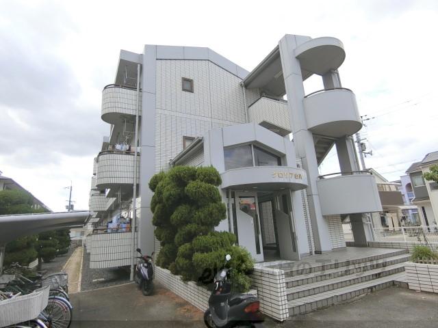 グロリア白川