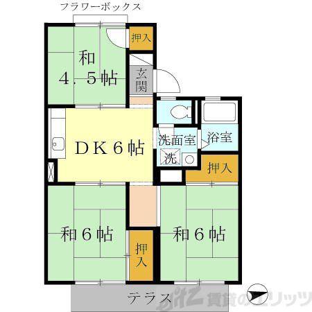 髙井ハイツC棟(3DK/1階)の間取り写真