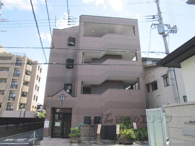 パームヒルズ
