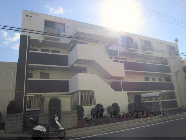 LA LUCE