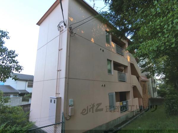 ラインハイム(1K/2階)
