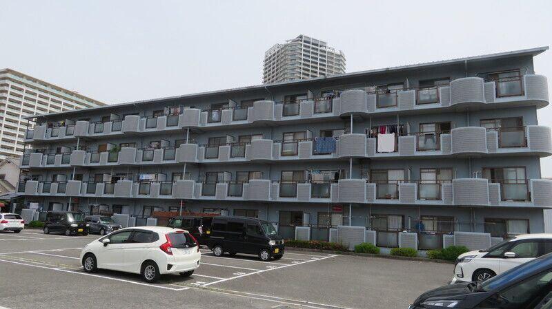 アンセスター91