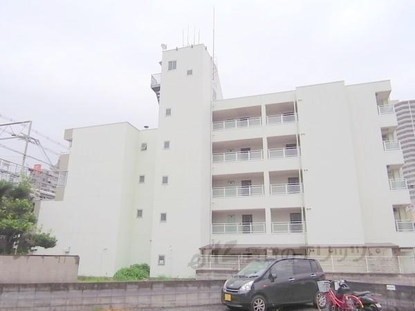 エヴァーグリーンタナカ