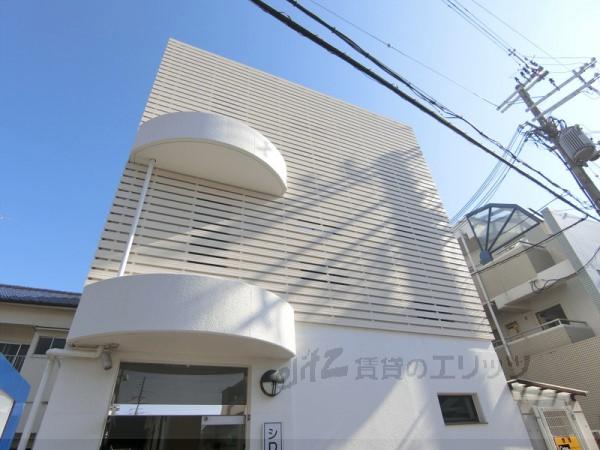 シロハイヌ