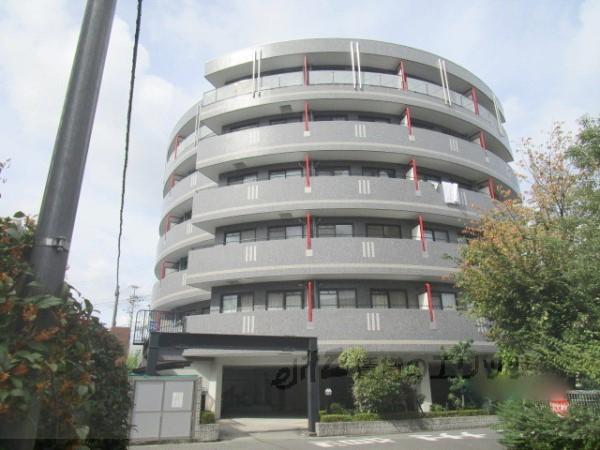 アップルハイツ南芥川(1K/2階)