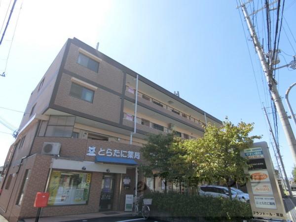 プランドール耳原(3LDK/4階)