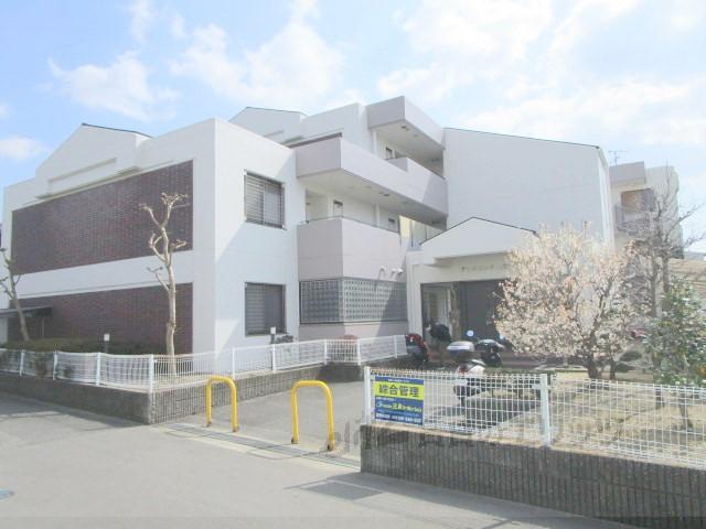 アンビエンテ桜ヶ丘(3LDK/2階)