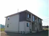 秋桜ミディⅡ