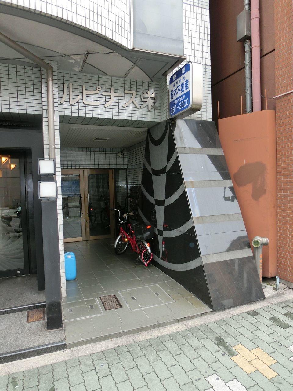 ルピナス栄