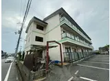 ロフティー津市場