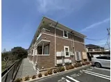 ブライトメアリーⅣ