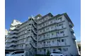 テルツォ南新在家
