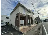 ワイズ プランドール