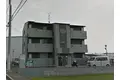 大阪府泉大津市東豊中町3丁目の建物