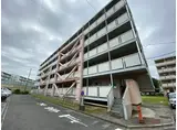 南海電鉄泉北線 深井駅 徒歩38分 5階建 築56年