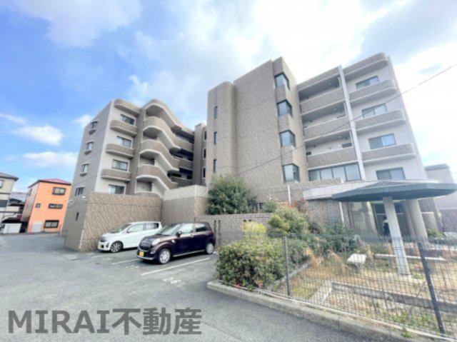 ステラルーチェ