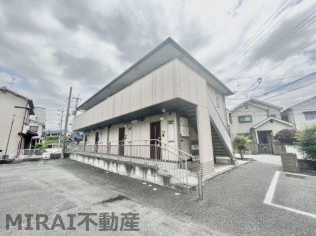 コスモスの丘