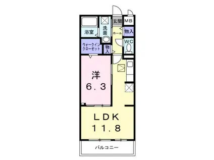 メゾンルミネ若松(1LDK/1階)の間取り写真