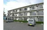 ハイム・マロンローズ