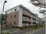 プレミアムコートみなみ野Ⅱ