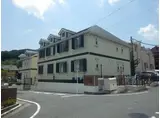 オーキッド