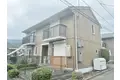 プラムハーベスト B