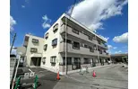 アムールオオカサ