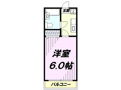 グリーンハイム志村(1K/1階)の間取り写真