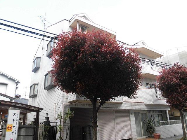 ドミールKAMO