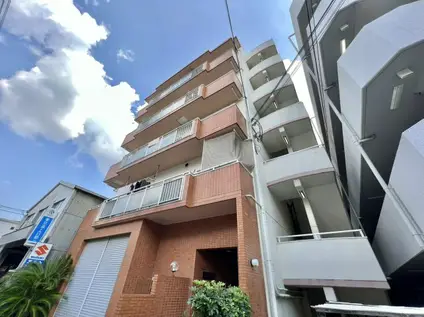 メガログリース(2DK/4階)の外観写真