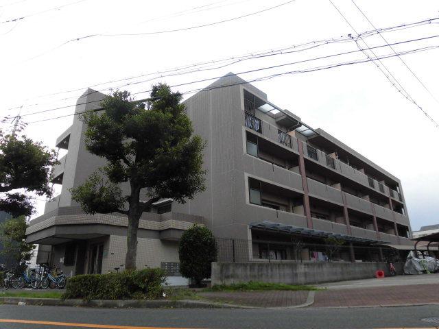 カーサヴェルデ大道南(3LDK/1階)